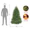 6ft. Unlit Dunhill® Fir Full Artificial Christmas Tree
